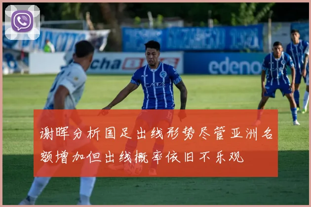 谢晖分析国足出线形势尽管亚洲名额增加但出线概率依旧不乐观