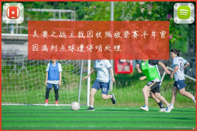 美澳之战主裁因收贿被禁赛半年曾因漏判点球遭停哨处理